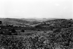 Les collines autour de Kamonyi.